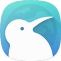 kiwi浏览器