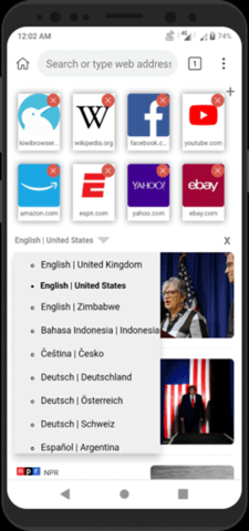 kiwi浏览器截图