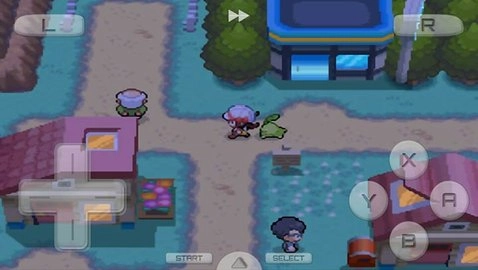 口袋妖怪心金魂银汉化版(4)