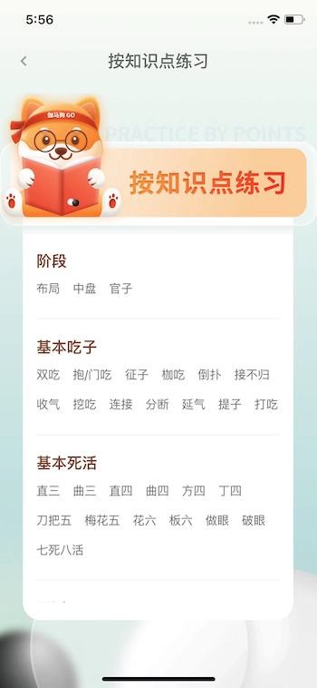 伽马狗围棋截图