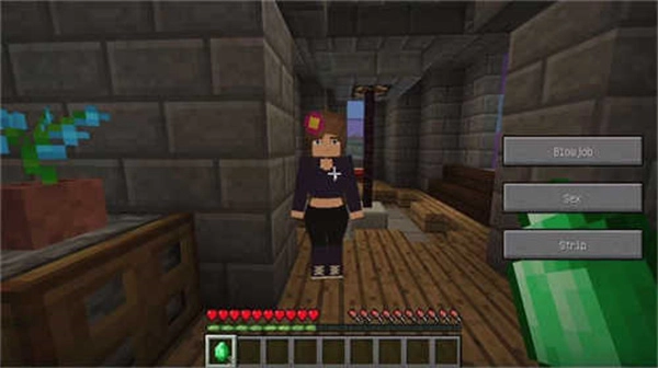 珍妮模组游戏纯净最新版(2)