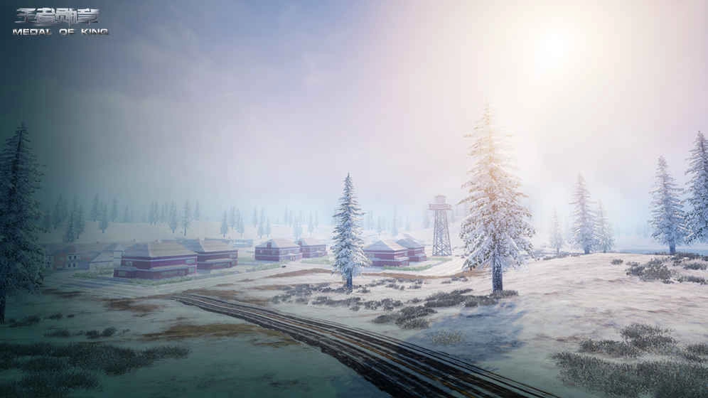 王者勋章通用版图3