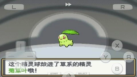 口袋妖怪心金魂银汉化版(3)