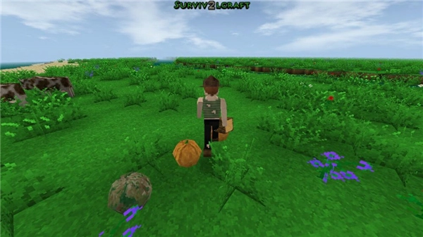Survivalcraft2汉化版
