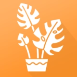 植物品鉴 V1.2