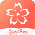 樱花视频播放器