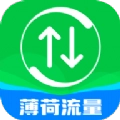 薄荷流量