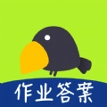 作业搜题专家