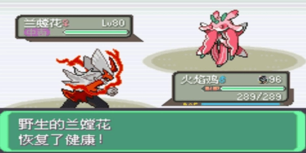 口袋妖怪究极绿宝石