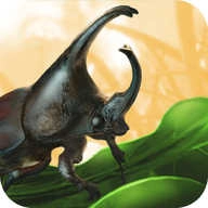 禁闭求生安卓免费版