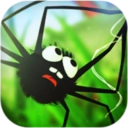 蜘蛛的冒险直装版