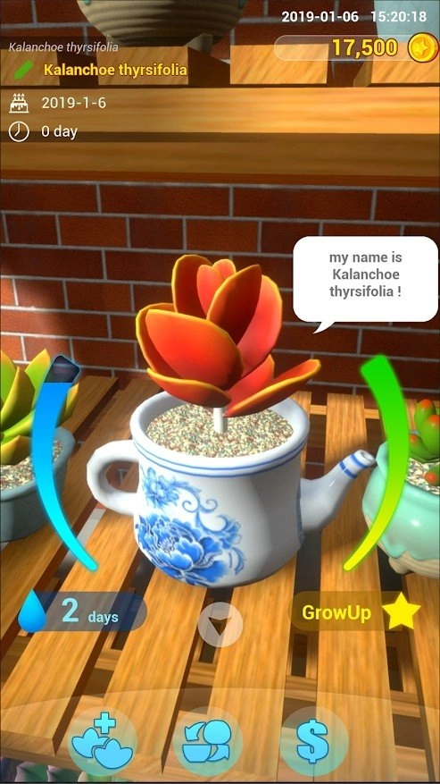 阳台花园红包版图2