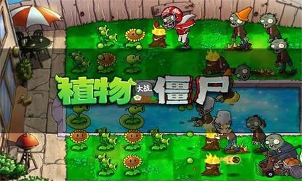 植物大战僵尸1老版图4