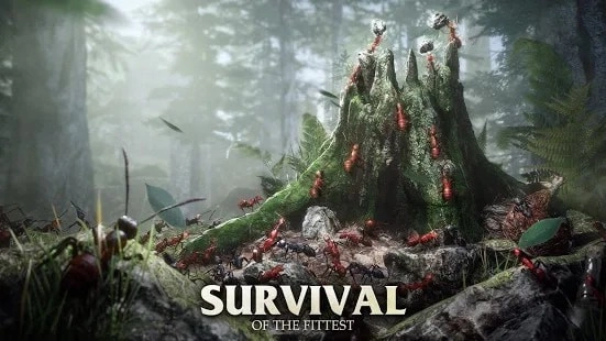 蚂蚁军团为了虫群最新免费版图2