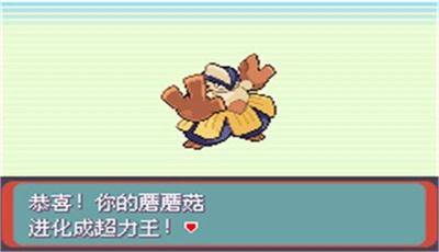 口袋妖怪绿宝石中文版(2)