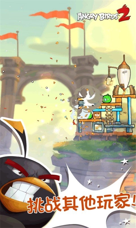 愤怒的小鸟2安卓直装版图5