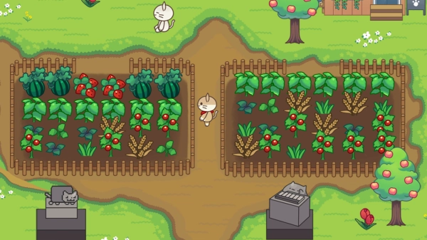 猫咪森林官方正版图3