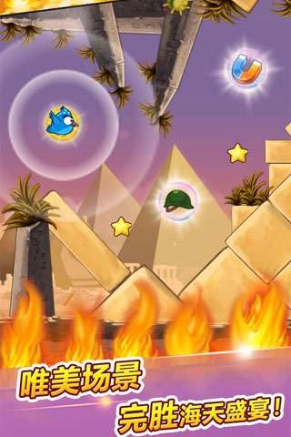 呆鸟也疯狂游戏图2