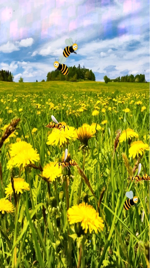 很坏的大黄蜂图2