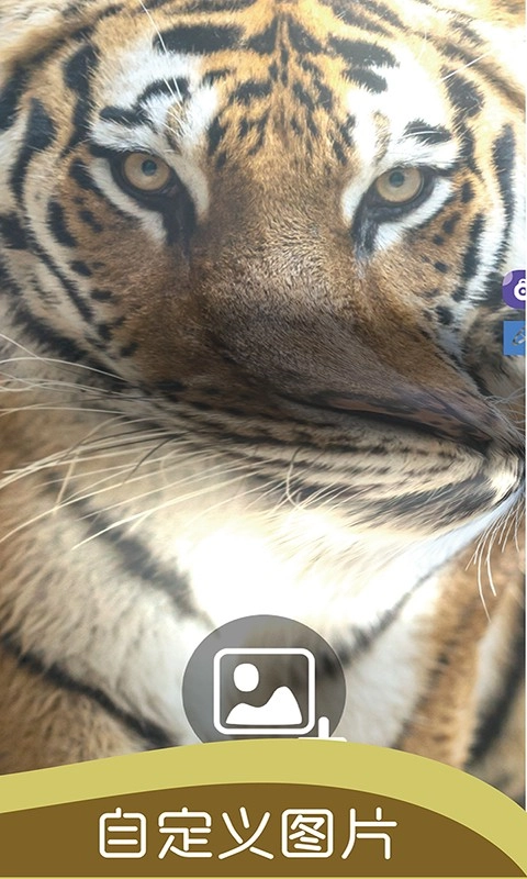 史莱姆开心独角兽原版图3