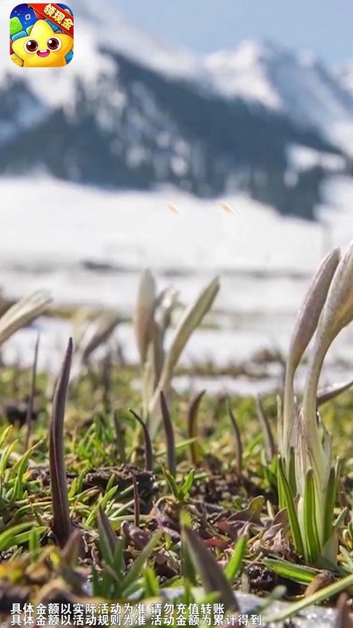 爆破消星星直装游戏版图2