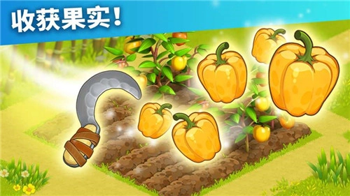 家庭島國際服圖3