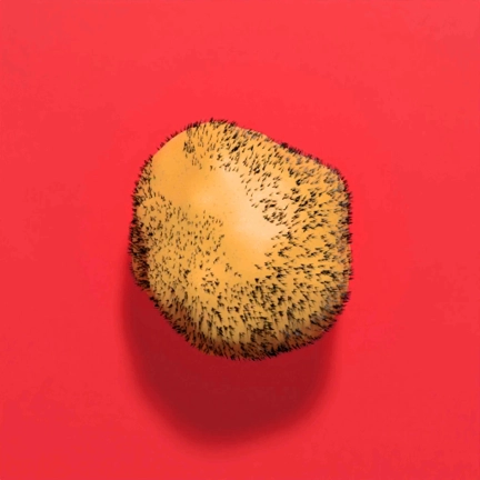 胡须土豆游戏最新版