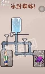 拔钥匙冰封蜘蛛手游免费版图2