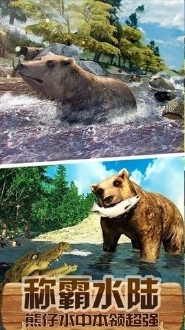 熊仔大乐园-图1