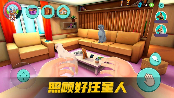 爱心宠物王国-图1