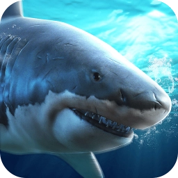 真实模拟鲨鱼捕食