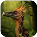 伤齿龙模拟器(Troodon Simulator)