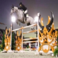 马匹赛跑跳跃大赛(Horse Riding and Racing Champ)