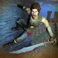 信条忍者猎人(Prince Assassin of Persia 3D : C)手游直装版