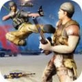 陆军空手道手游版