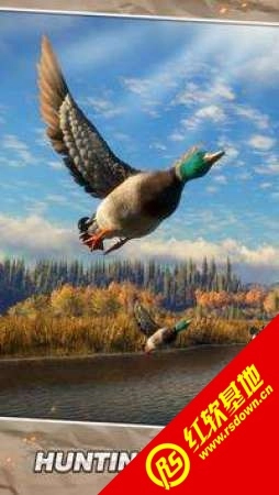 狩猎世界狙击(Hunting World: Deer Hunter Snipe)