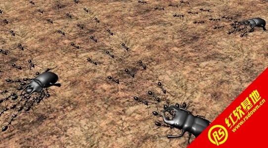 臭虫战斗模拟器3D(Bug Battle Simulator)