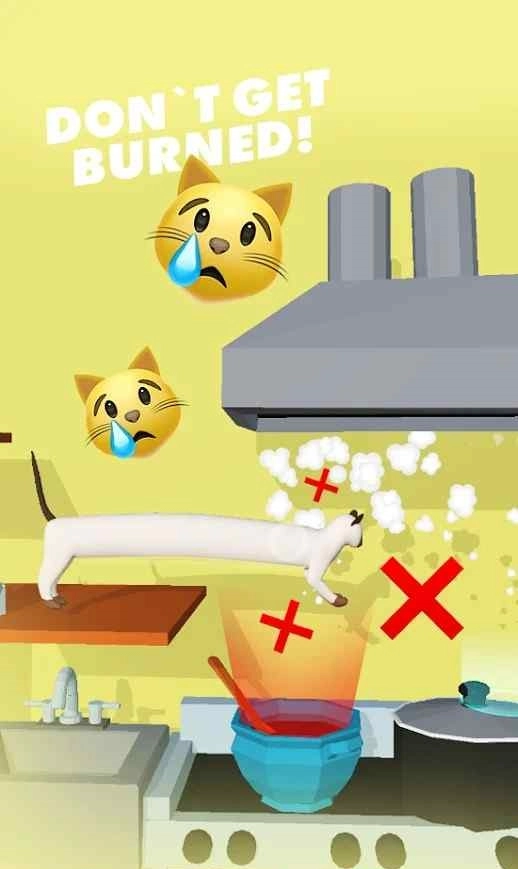 忍者拉伸猫(Ninja Cat)