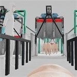 小猪的一生游戏官方最新版