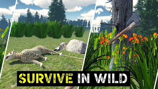 黑色公路之旅(中文版