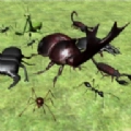 臭虫战斗模拟器3D(Bug Battle Simulator)