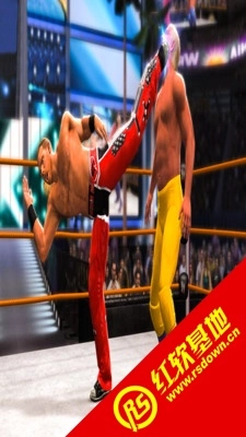 Ninja Kungfu(Men Street Wrestling Fight King)