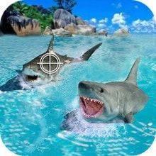 鲨鱼捕猎手无广告版