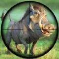 猎猪射击(Pig Hunting Shooting Game)