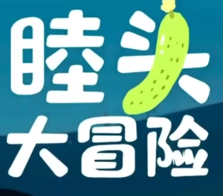 睦头大冒险游戏完整版