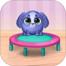 梦幻宠物欢乐屋