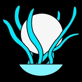 极限考生团体战(限界受験生団体戦)