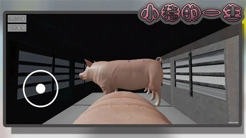 小猪的一生游戏官方最新版
