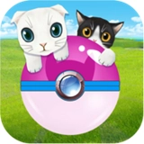 一起来捉猫直装游戏版