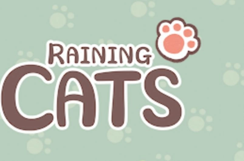 天降猫霖(RainingCats)